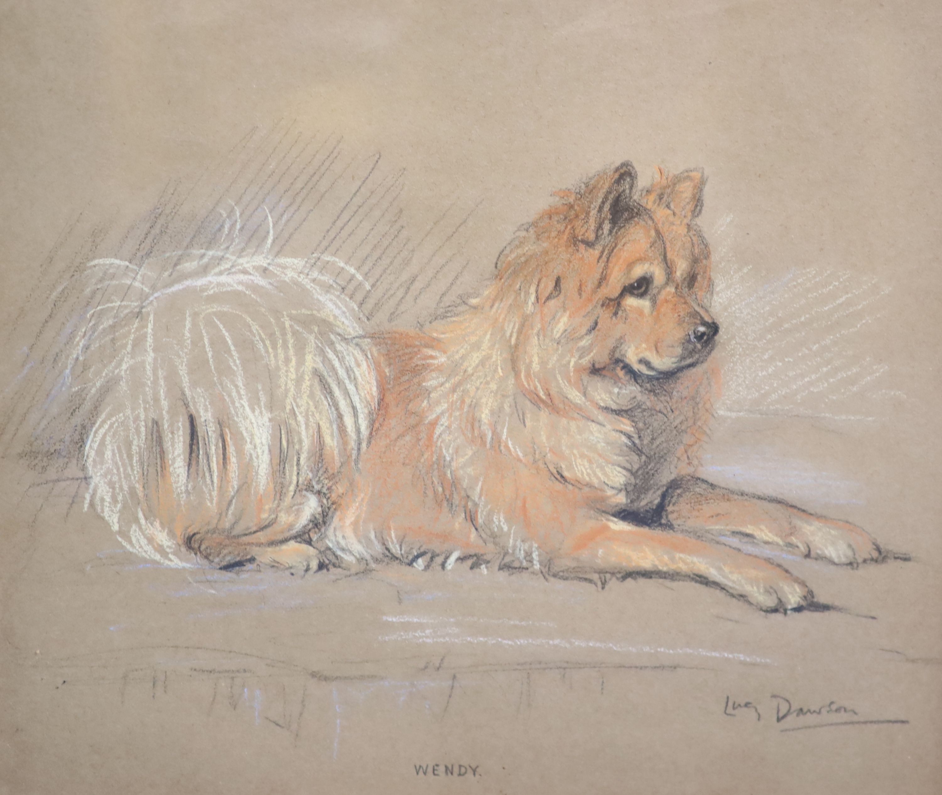 Lucy Dawson (1867-1954), Portrait of a Chow Chow Dog, pastel on brown paper, 23 x 27.5cm